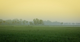 শুভ সকাল