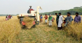 দেশের কৃষিতে আধুনিকতার ছোঁয়া